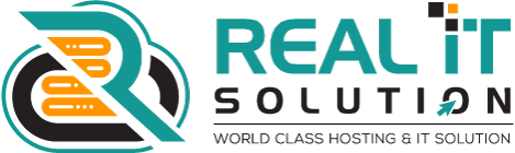 Real IT Solution